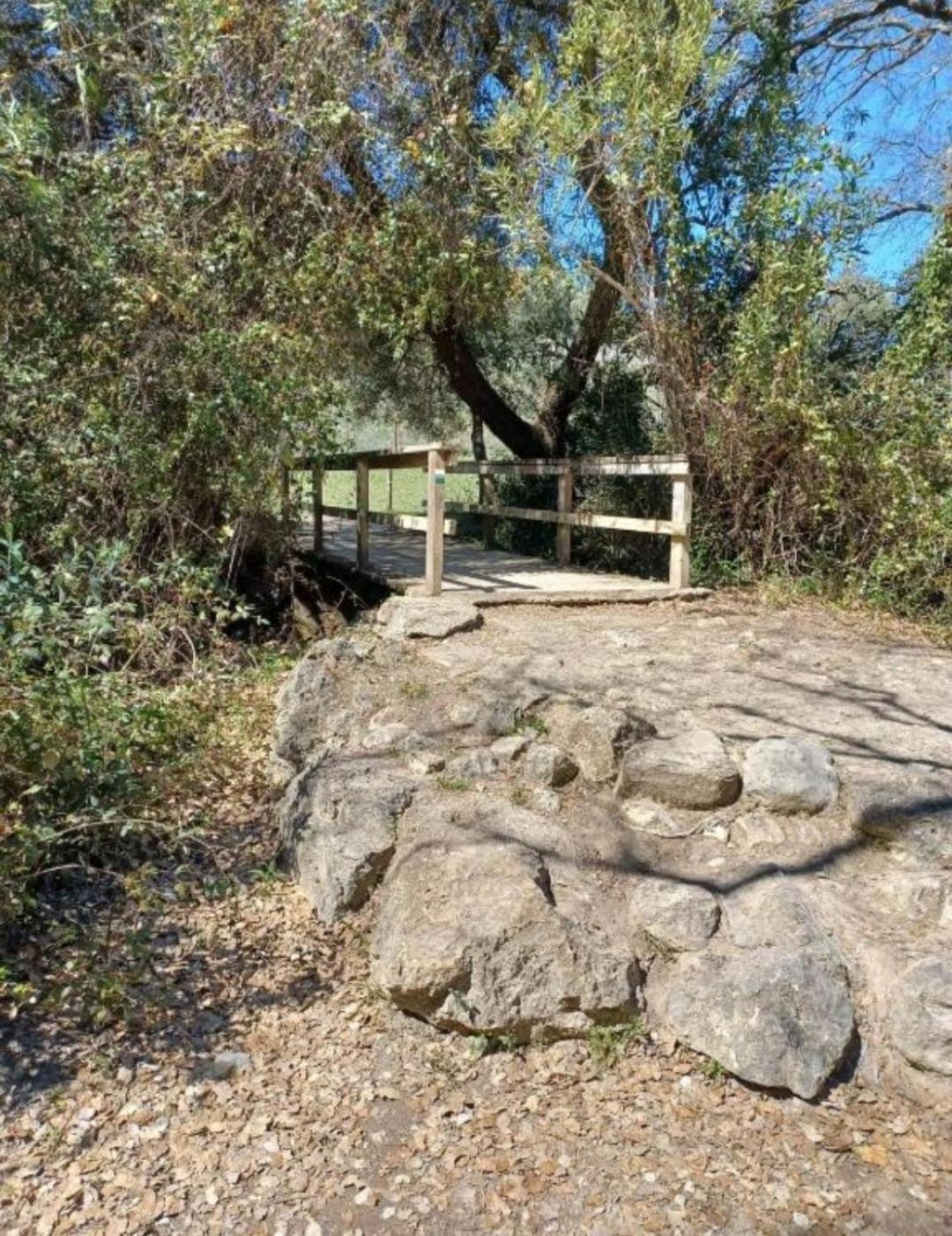 Mi Descanso El Bosque Ngoại thất bức ảnh