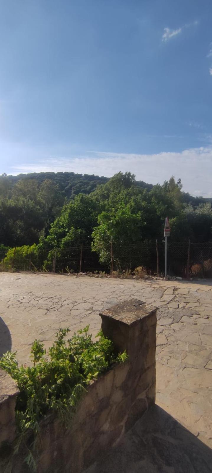 Mi Descanso El Bosque Ngoại thất bức ảnh